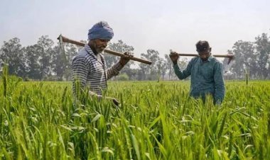 *किसान कार्ड : 30 मार्च तक किसानों को फार्मर आईडी बनवाना अनिवार्य, अब तक 56 हजार से ज्यादा किसानों का हुआ पंजीयन,फॉर्मर आईडी से कृषि योजनाओं सहित अन्य योजनाओं का मिलेगा सीधा फायदा* 